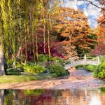 Botanic Garden