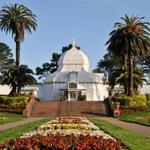 Golden Gate Park