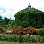 Elizabeth Park Rose Garden