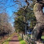 Delaware Canal Trail