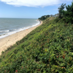 Popponesset Beach