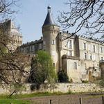 Castle of Jonzac
