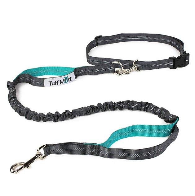 Tuff Mutt Hands Free Bungee Dog Leash, Gray/Teal - Chewy.com