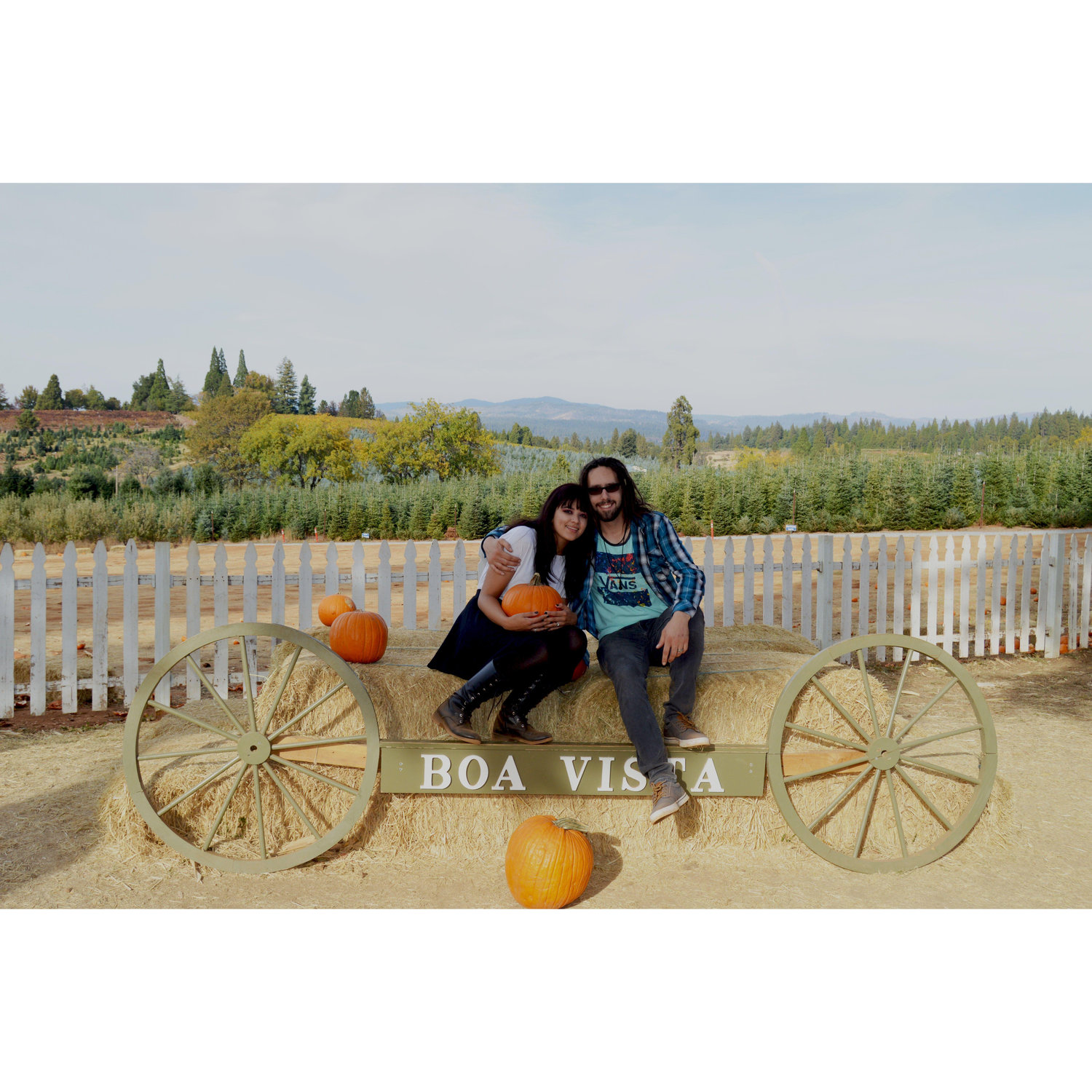 Apple Hill 2018