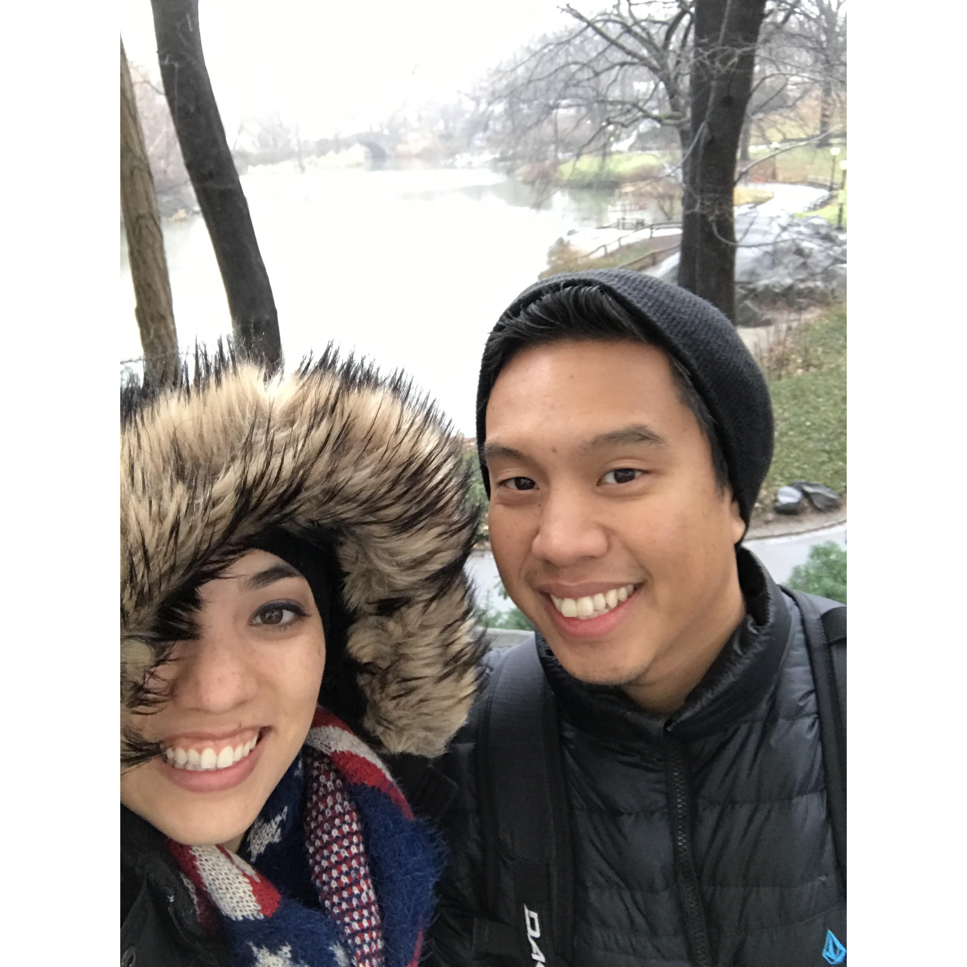 Central Park in winter.