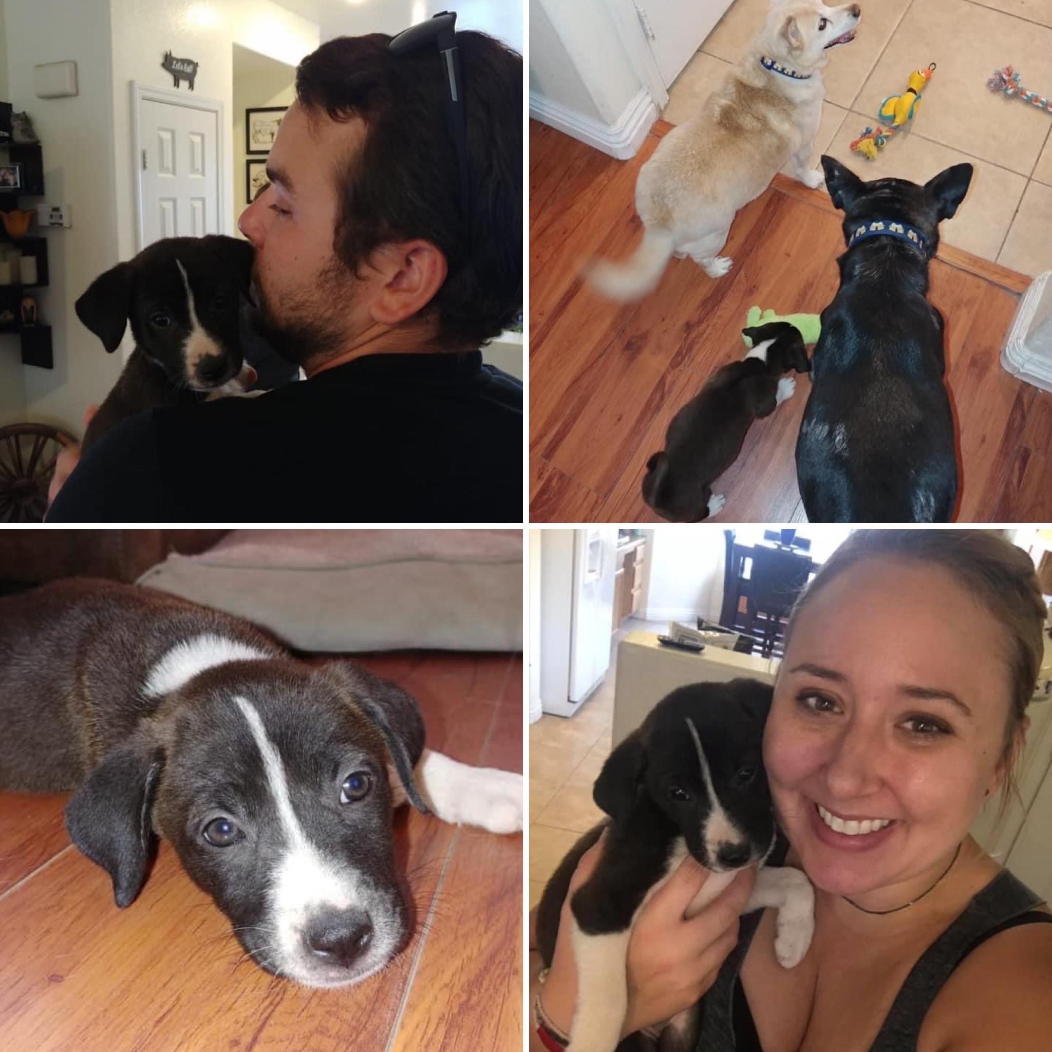 The day we adopted our baby girl, Remington (Remi)