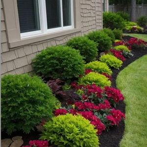 Landscaping Flowers for New House!