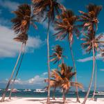 Nearby Beaches