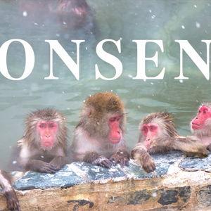 Bullet Train + Monkey Viewing Experience
