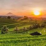 Ubud