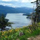 Flathead National Forest