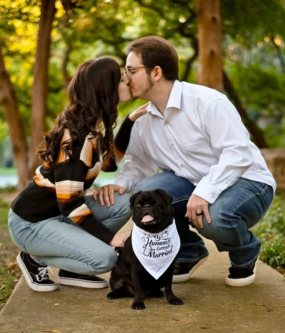 39a098d3-25fe-49b2-85d6-1592496ffd29