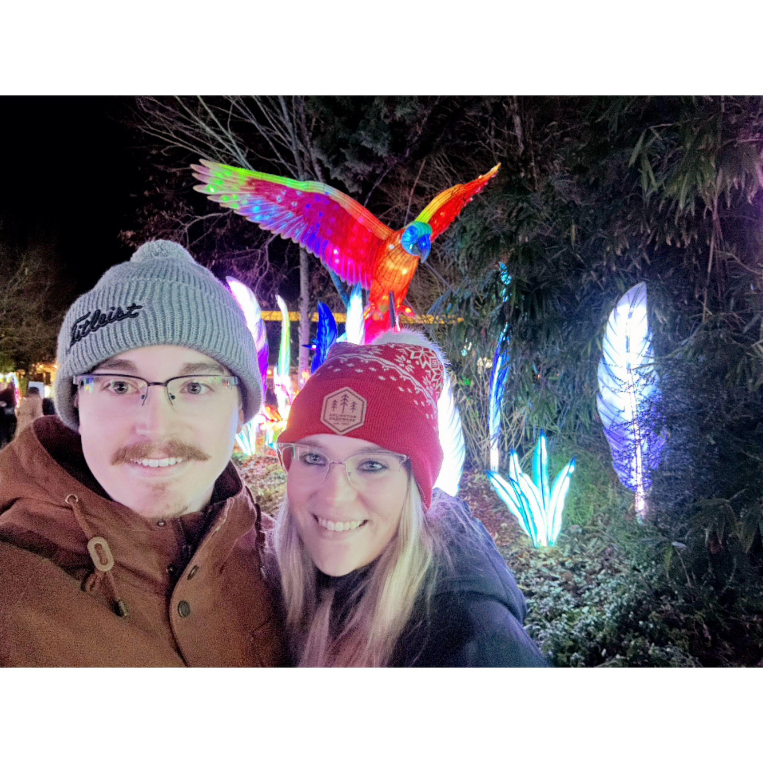 Our yearly tradition of going to the Wild Lanterns at Woodland Park Zoo