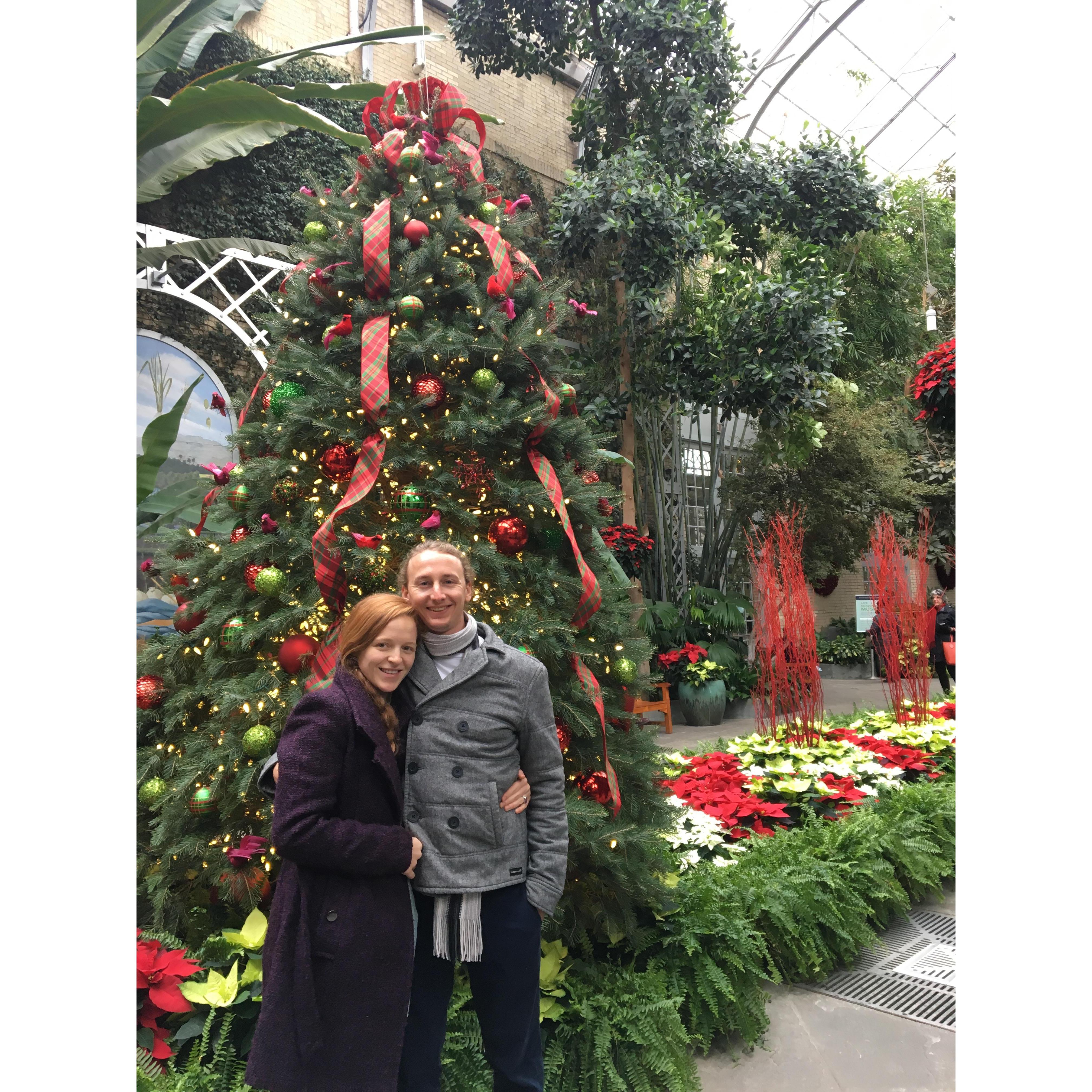 Christmas time in DC, 2018