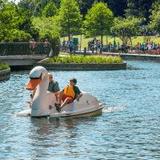 The Woodlands Waterway