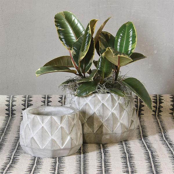 Cement Planter Set