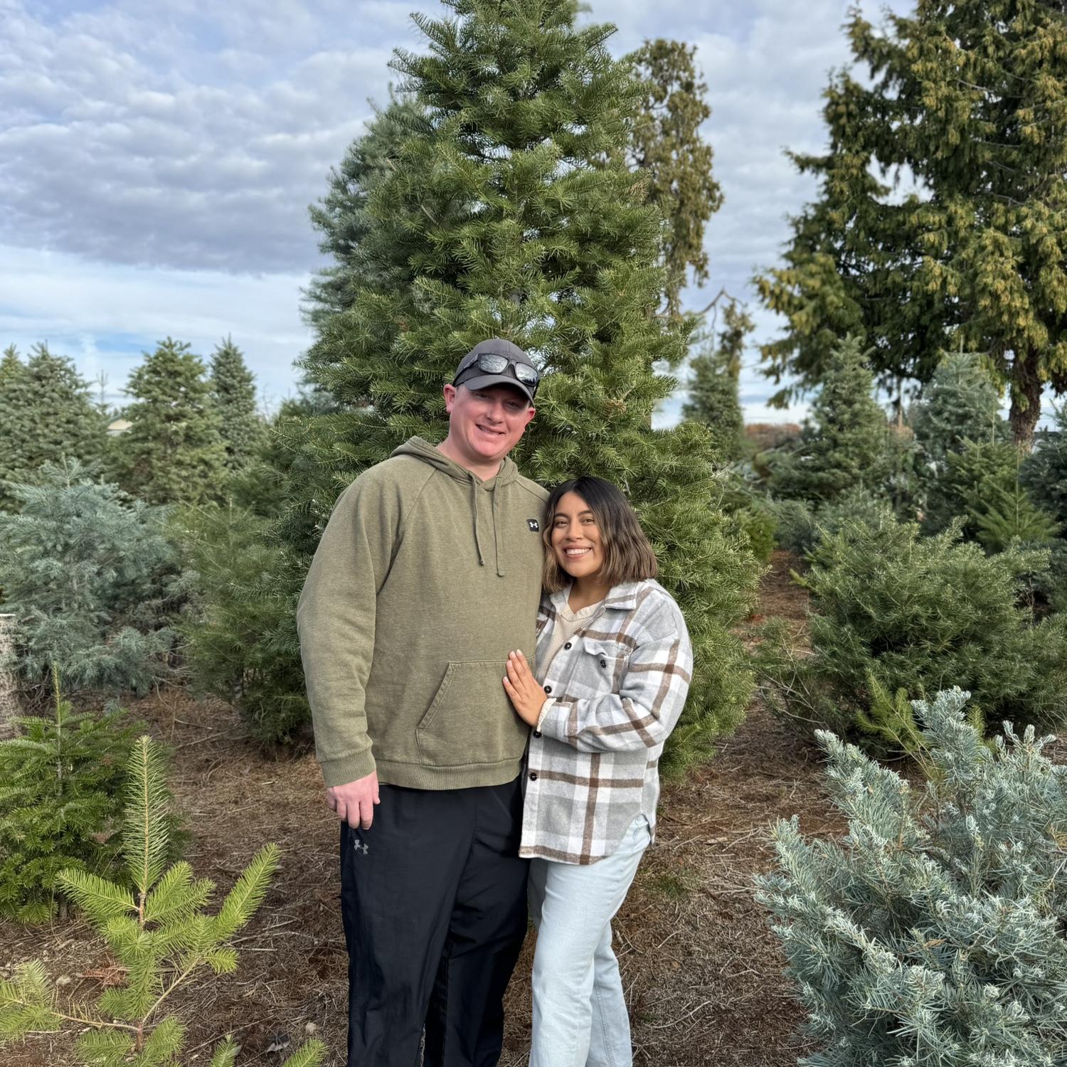 Christmas tree tradition