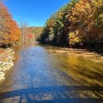 Trexler Nature Preserve