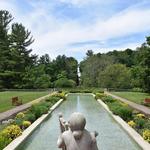 Cranbrook House & Gardens