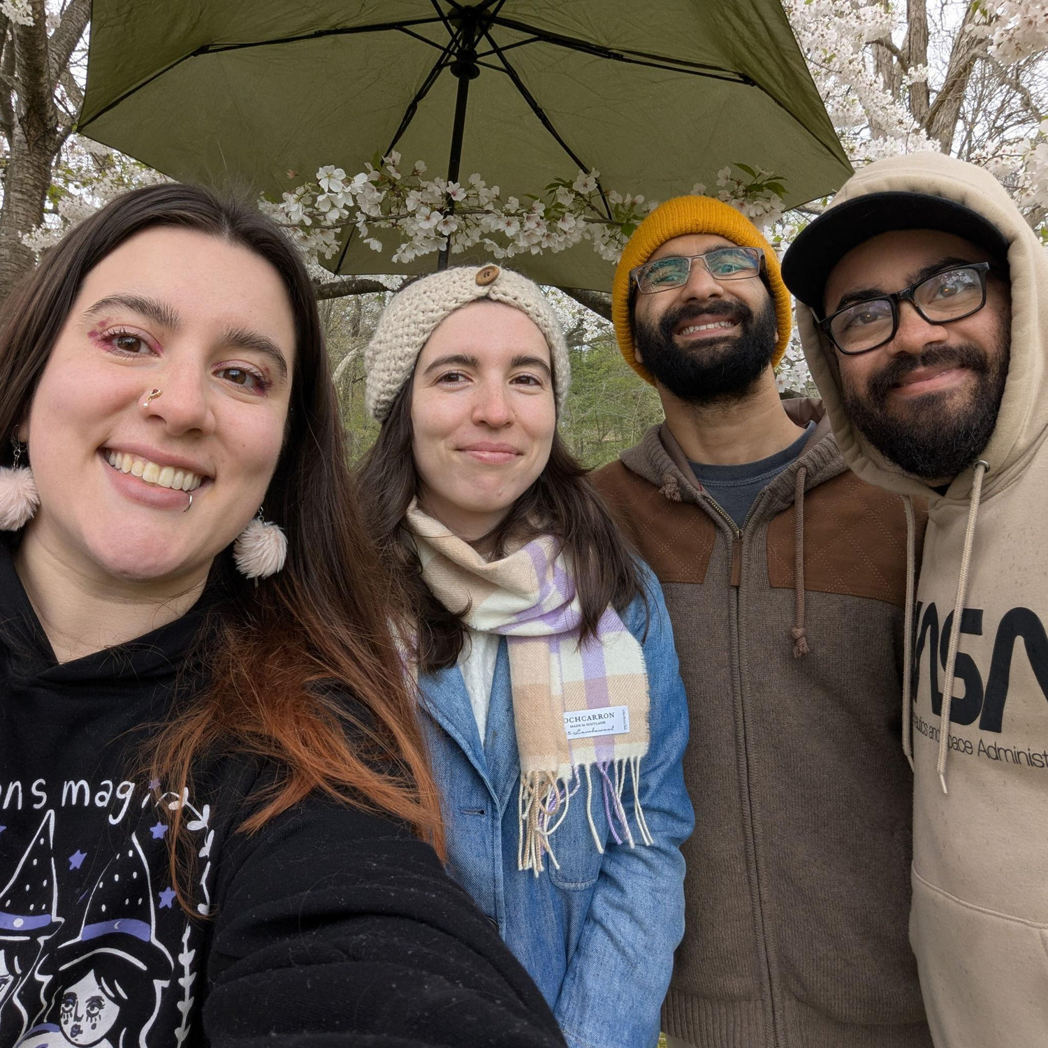 At the Cherry Blossom festival in Fairmount Park, Philadelphia