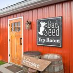 Bad Seed Cider Co