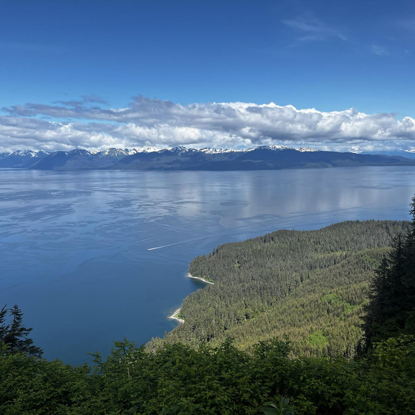 Alaskan Cruise Honeymoon