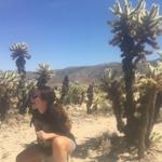 Cholla Cactus Garden