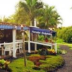 The Dolphin Restaurant