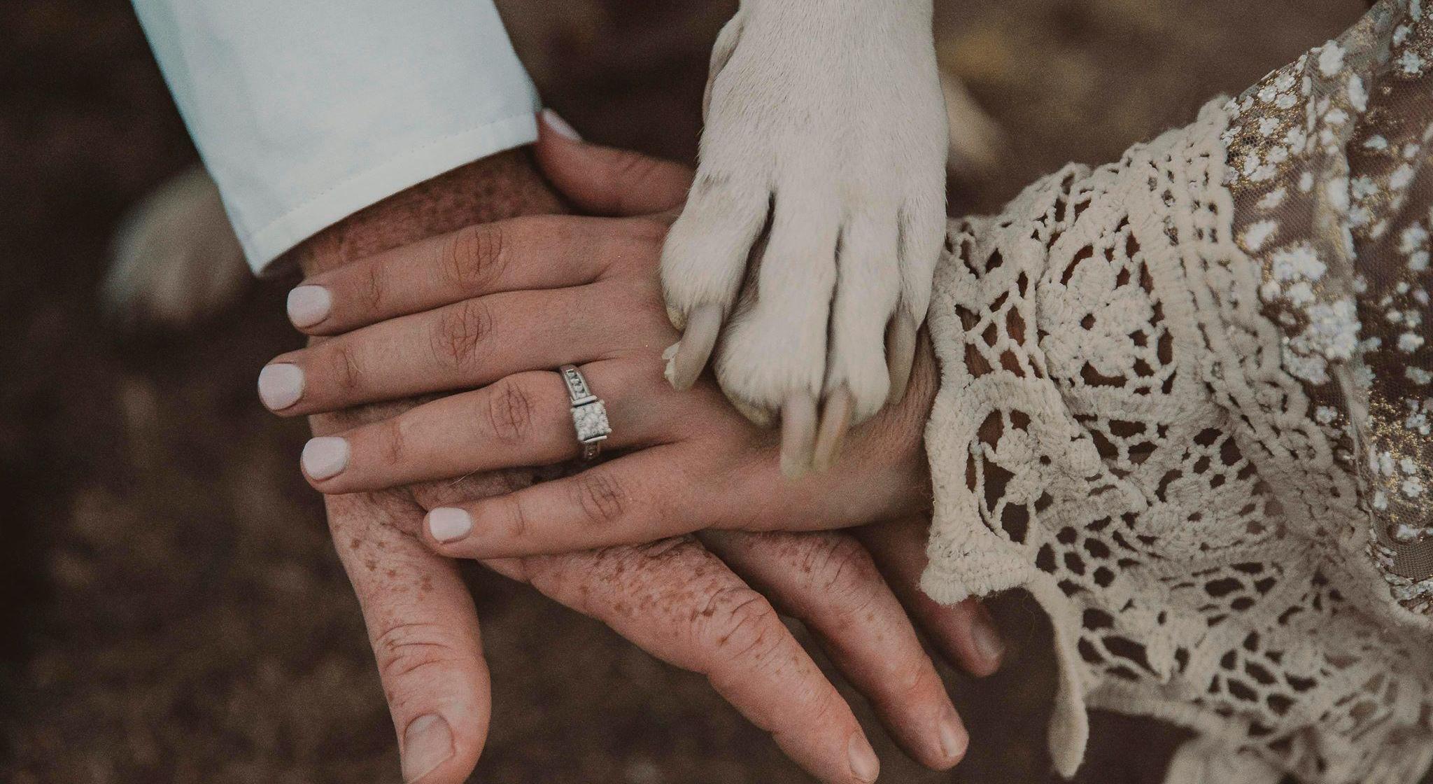Footer image