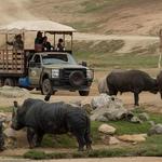 San Diego Zoo Safari Park