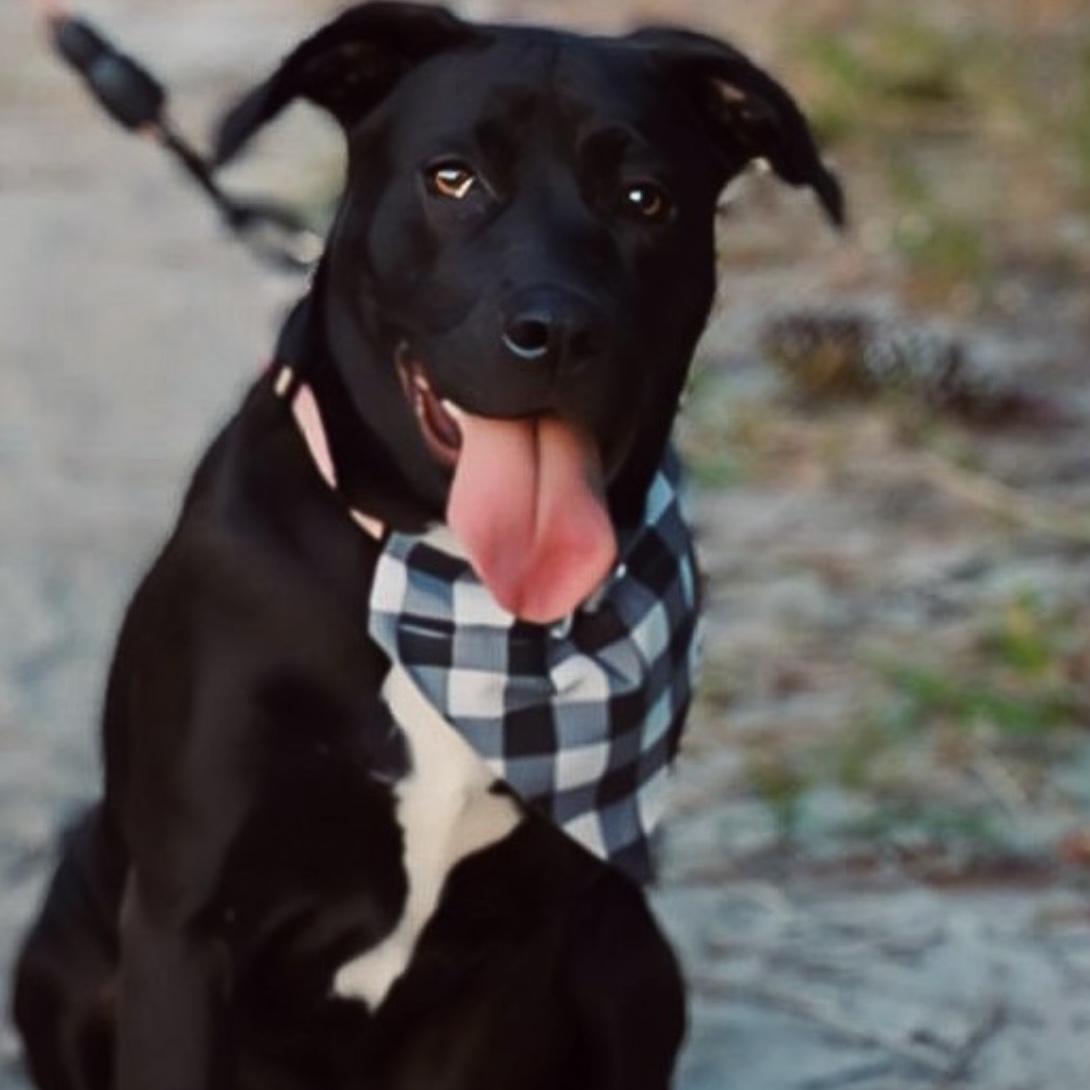 Our fur baby!