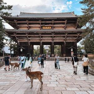 Day trip to Nara