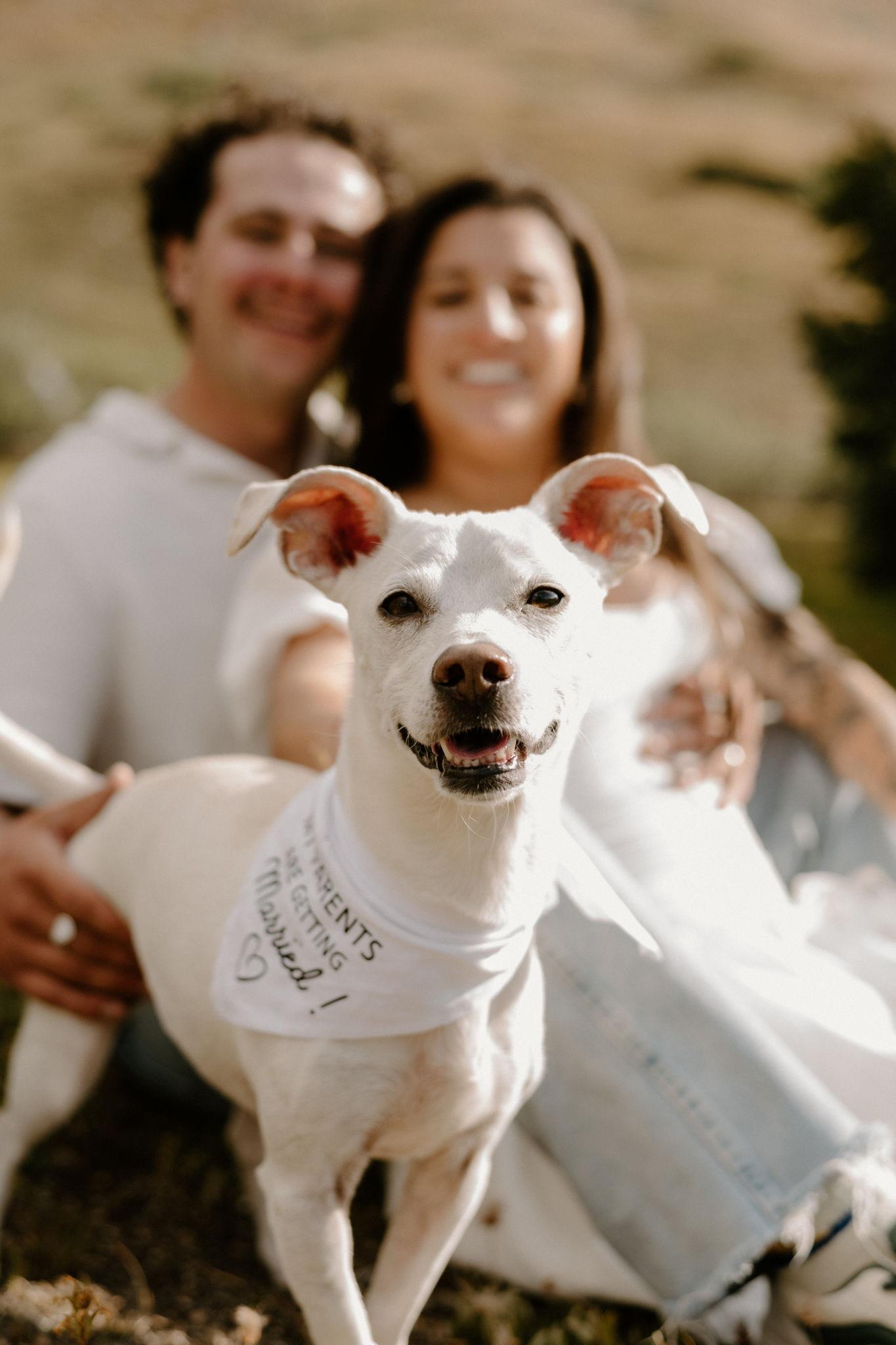 The Wedding Website of Zöe Bauerschmidt and Rocko Fillweber