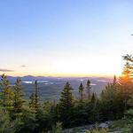 The Saranac Six