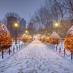 Boston Public Garden