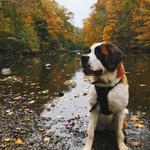 Mohican State Park