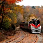 Fall Foliage Limited Excursions