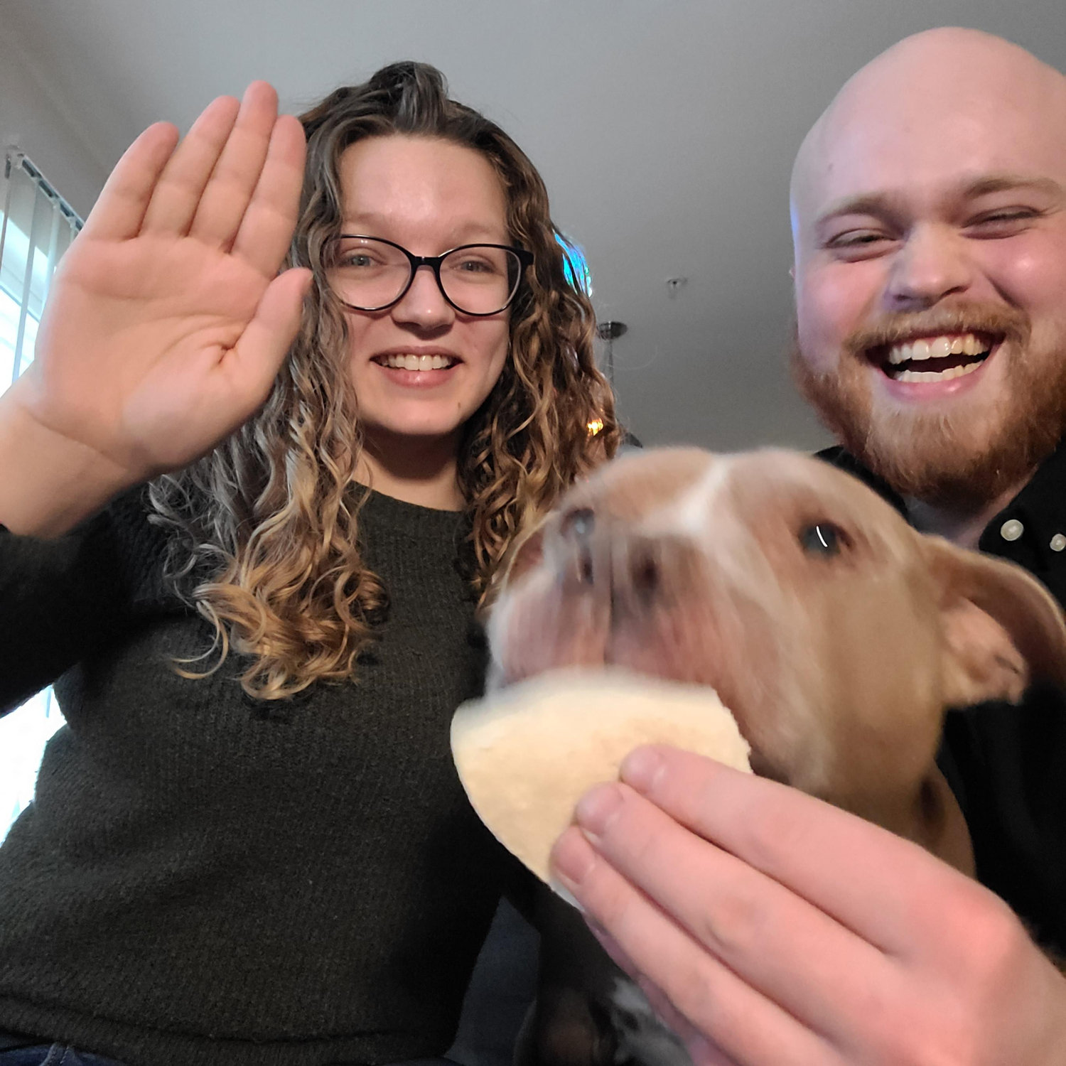 Bribing Brutus to get a Christmas Photo