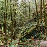 Little Si Hike
