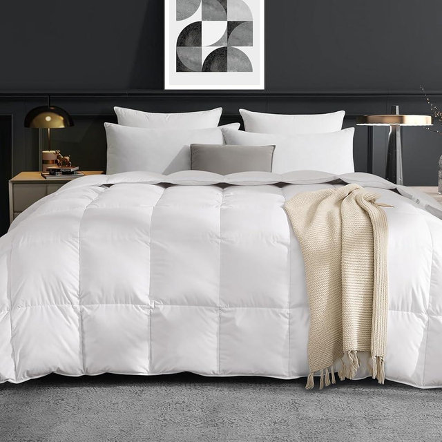 Dreamhood Down Fiber Comforter Queen Size 90x90 Fluffy Duvet Insert Feather and Down Fiber Filling Ultra Soft White All Season Comforter with Corner Label