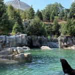 Omaha's Henry Doorly Zoo and Aquarium