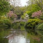 Fort Worth Botanic Garden