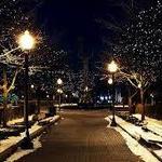 Royal Oak