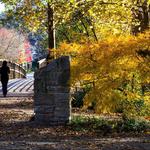 Chastain Park