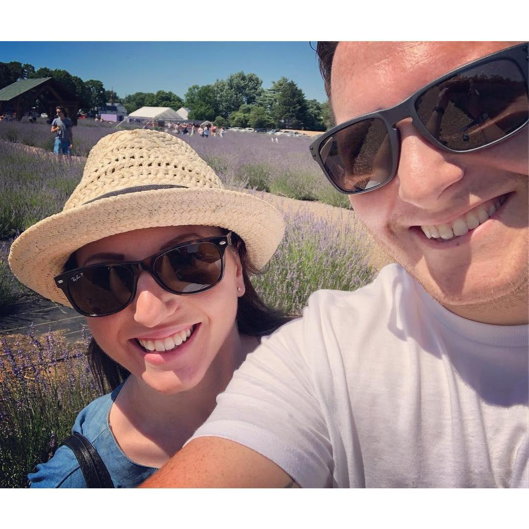 Lavender by the bay, Summer 2018