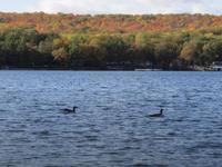 Otsego Lake State Park