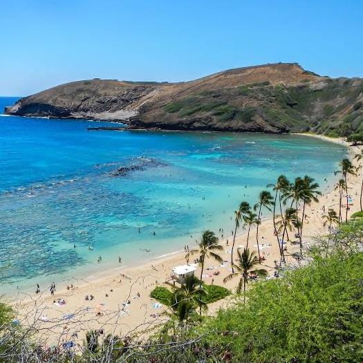 Our Hawaii Honeymoon Fund!