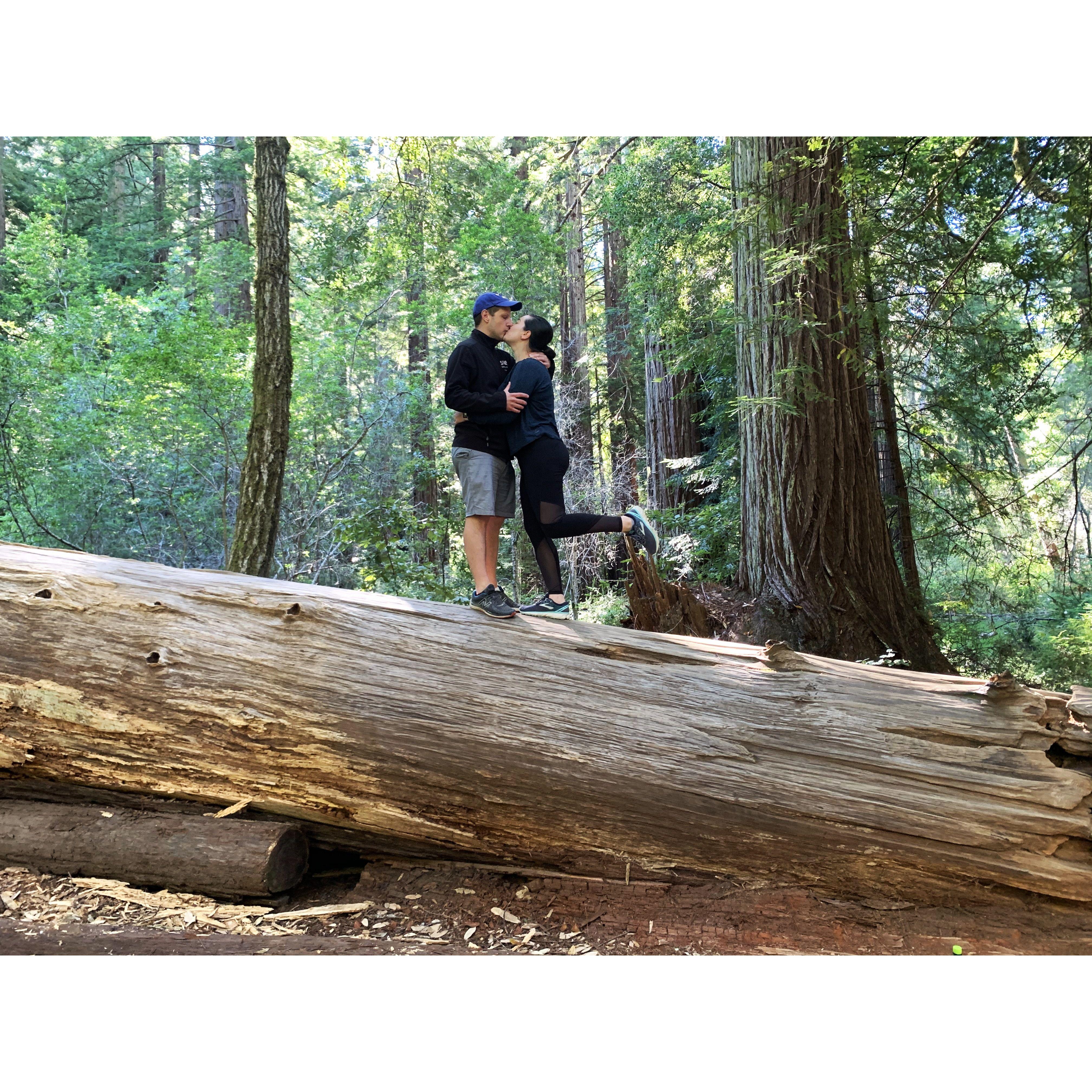 Big Basin