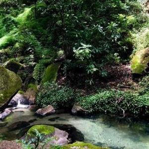 Carbonatadas Hike: The Spring of Medicinal Water