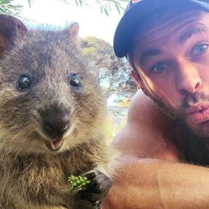 Australia/New Zealand Honeymoon Fund!